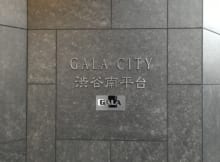 ガーラ・シティ渋谷南平台